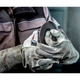 Угловая шлифмашина Metabo WEV 11-125 Quick (603625000) [135525] - изображение 3