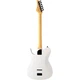 Электрогитара FGN JIL3-ASH-DE664R Iliad Dark Evolution Series Open Pore White [130812] - изображение 2