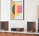 Акустическая система Ruark Sabre-R Bookshelf Speakers Fused Walnut - изображение 4