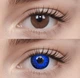 Синие контактные линзы - Блу 1.1 2шт. от ELITE Lens - изображение 4