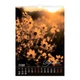 Календарь настенный 2026 Buromax А3 на 1 пружину Wild flowers (BM.210605) - изображение 5