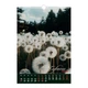 Календарь настенный 2026 Buromax А3 на 1 пружину Wild flowers (BM.210605) - изображение 6