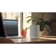 Беспроводная Wi-Fi колонка DENON HOME 150 NV White (art.245528) - изображение 4