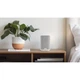 Беспроводная Wi-Fi колонка DENON HOME 150 NV White (art.245528) - изображение 5