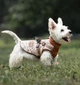 Зимняя куртка для собак V.PET.B.R. Luxury Dog Jacket C519 Brown Paw, S - изображение 7