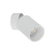 Бра TK LIGHTING 5373 TOP - зображення 1