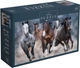 Пазли Interdruk Horses 3 тришарові 1000 деталей (384980) - зображення 1