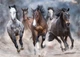Пазли Interdruk Horses 3 тришарові 1000 деталей (384980) - зображення 3