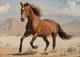 Пазли Interdruk Horses 2 тришарові 1000 деталей (384973) - зображення 2