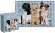 Пазли Interdruk Puppy Sign 3 тришарові 250 деталей (385130) - зображення 2