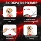 Светодиодный, водостойкий LED ошейник для собак с зарядкой USB, 35 см, размер S (красный) - изображение 4