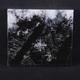 Panychida - Mesic, Les, Bily Snih - Moon, Forest, Blinding Snow CD 00-00011474 - изображение 2