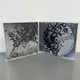 Celestia - Retrospectra (Slipcase) CD 1610100033 - зображення 5