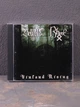 Bellum / Rhune - Vinland Rising CD 2005180231 - изображение 1