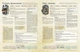 Настільна гра Geekach - Root RPG - Пелленицьке Перелісся. Швидкий старт Коріння НРГ - зображення 4