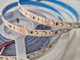 Світлодіодна стрічка (неізольована) SMART SMD2835-120L, 12W/м, 8мм, теплий білий/холодний білий(2700-4000-6000К) - зображення 2