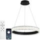 Люстра светодиодная подвесная Luminaria ERIKA 65W R485 BLACK с пультом - изображение 1