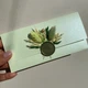 Конверт з дизайнерського паперу з печаткою і декором під гроші 16,6 х 8 см Majestic Fresh Mint - зображення 4