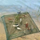 Малявочниця Sams Fish 100 х 100 см (WSI51117) - зображення 8