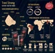Кофе в зернах Купаж Trevi Strong 20% Арабика 80% Робуста 1 кг - изображение 2