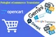 Polyglot eCommerce Translator - Многоязычный переводчик для интернет-магазинов - изображение 1