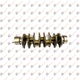 Коленвал Isuzu 4HK1 8980292700 ISUZU Select Parts - изображение 1