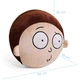 Декоративная подушка лицо Морти "Rick and Morty" FRMMORPIL22GN002 - изображение 3