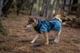 Тепла зимова куртка для собак Glacier jacket 3.0 Non-stop dogwear Бірюзовий 30 - изображение 2
