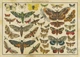 Пазлы трехслойные 2000 деталей Vintage Nature1 Interdruk 385031 - изображение 2