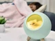 Ночник Спящий кот в домике UFT SCH01 Green с сенсорной кнопкой - изображение 1