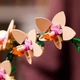 Конструктор игровой Botanicals Мини орхидея 10343 274 детали - изображение 5