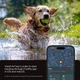 Чехол Spigen для Apple AirTag (1шт) Tough Armor IP Pet Collar, черный (ACS09780) - изображение 6