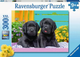Пазл Ravensburger Улюбленці 300 елементів 12950 (4005556129508) - зображення 1