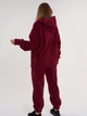 Спортивный костюм на флисе женский ISSA PLUS 14876A XL Бордовый (issa2007682667048) - изображение 2