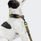 Биотановый поводок свободные руки для собак Cloud7 Hands-Free-Leash Ipanema Оливковый 1,6 - 2,6 м One Size - изображение 2
