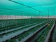Затеняющая сетка GUTEX 90% усиленная ширина 1,2 зелёная защитная сетка 140 г/м² с UV‑стабилизацией, за пог.м - изображение 6