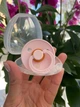 Пустушка Bibs 6-18 міс Colour Round (кругла) - Blossom - изображение 5