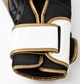 Боксерські рукавиці Everlast POWERLOCK 2R TRAINING GLOVE білий, золотий Уні 10 унцій (P00003048) - зображення 4