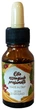 Парфумована ефірна олія GE.CA Essential Oils Es Line Legni Di Sandalo Сандалове дерево 15 мл (8025978106327) - зображення 1