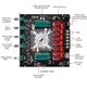 Підсилювач звуку 2.1 TPA3255 Bluetooth v5.1 220Вт*2 + 350Вт DC 18-38В YS-AS21, ZK-AS21 - изображение 4