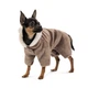 Костюм Pet Fashion Alf для собак бежевий XS2 - зображення 3