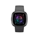Смарт-годинник Fitbit Sense 2 Shadow Grey/Graphite (FB521BKGB) - зображення 2