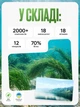 Спирулина + хлорела из озера Ченхай. В таблетках 500+500 грамм ТОП Спирулина - изображение 2