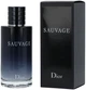 Мужская туалетная вода Dior Sauvage Eau de Toilette (200 мл) - изображение 1