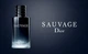 Туалетная вода для мужчин Dior Sauvage 60 мл - изображение 5