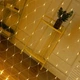 Гирлянда уличная сетка, прозрачный шнур 2х2 м 120 LED золотистый свет от сети (1000-RV81G) - изображение 6