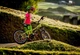 Велосипед гірський (MTB) Kellys Kiter 30 24 Silver 2025 - изображение 5