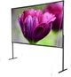Проекційний екран Celexon Basic Line 221x124cm 16:9 - изображение 1