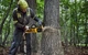 Пила ланцюгова акумуляторна DeWalt 54В XR FLEXVOLT шина 50см OREGON 3/8 1.3мм 5.7кг без АКБ та ЗП (00134183) - изображение 2