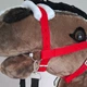 Вуздечка червона для Hobby Horse - аксесуари для хобіхорса коня на палиці хобби хорс - изображение 6
